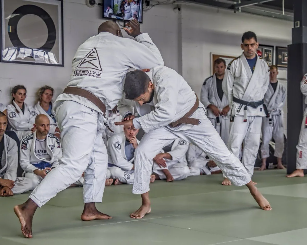 Striking and Clinching