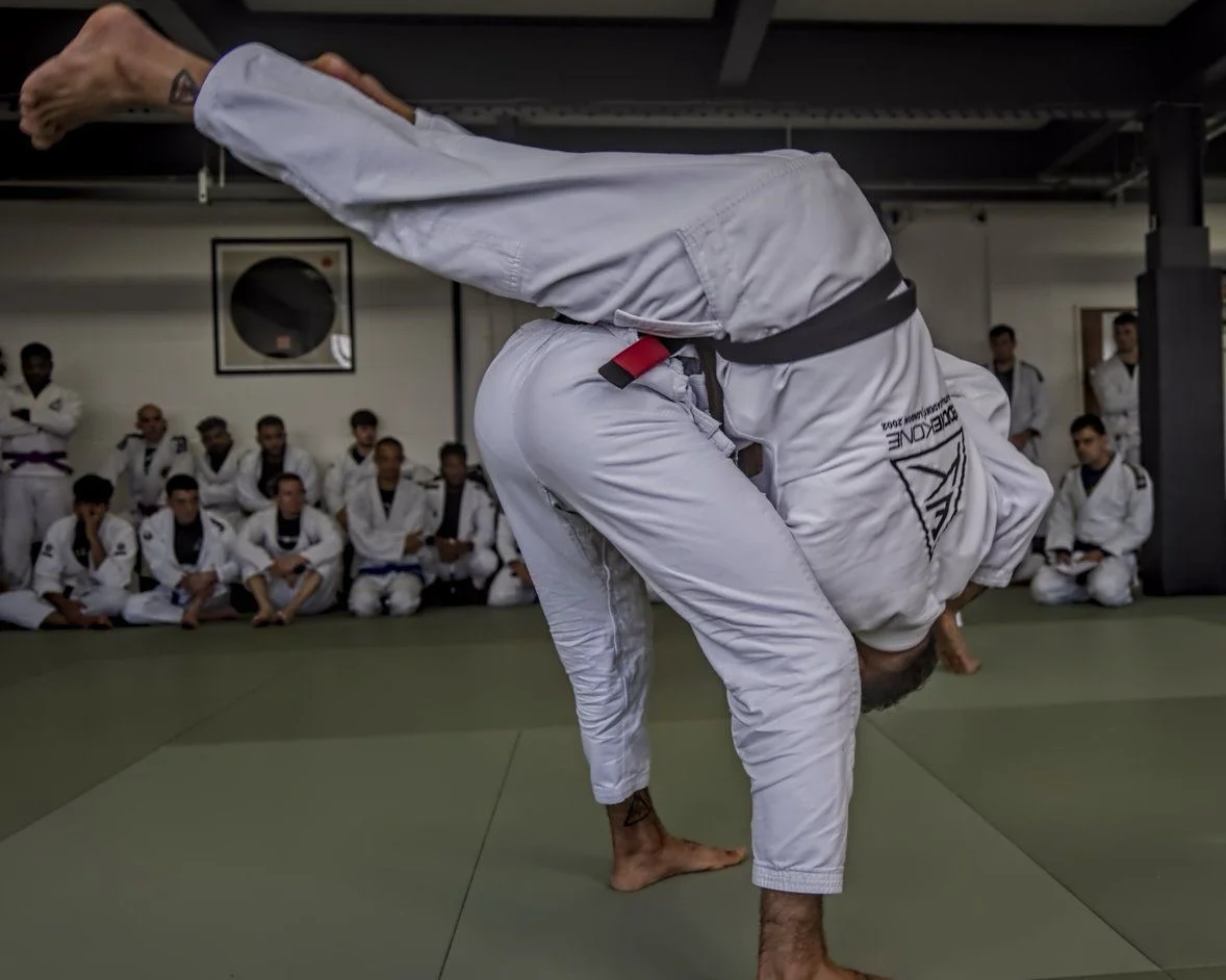Takedowns & Throws